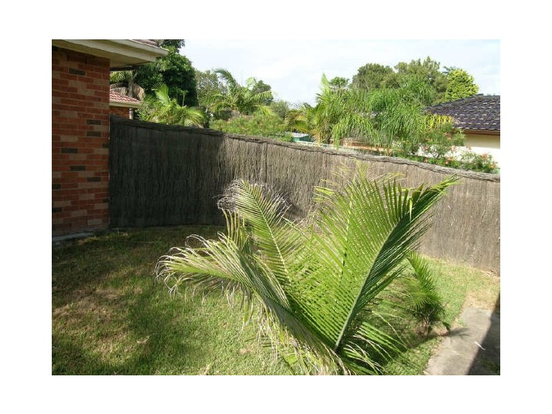 97 Telopea Avenue, Caringbah NSW 2229