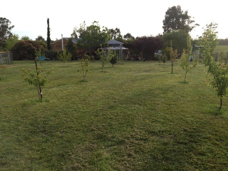 409 Simpsons Creek Road, Orbost VIC 3888