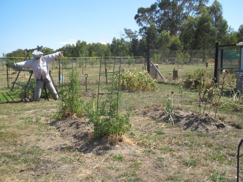 409 Simpsons Creek Road, Orbost VIC 3888