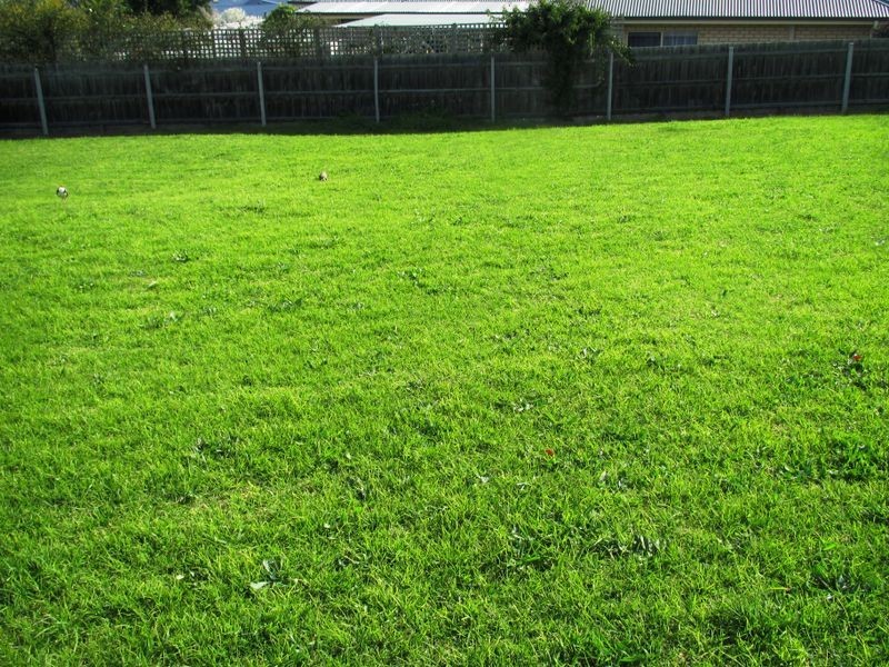 12 Clematis Court, Lakes Entrance VIC 3909