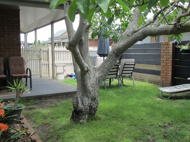 3/5 Orme Street, Lakes Entrance VIC 3909