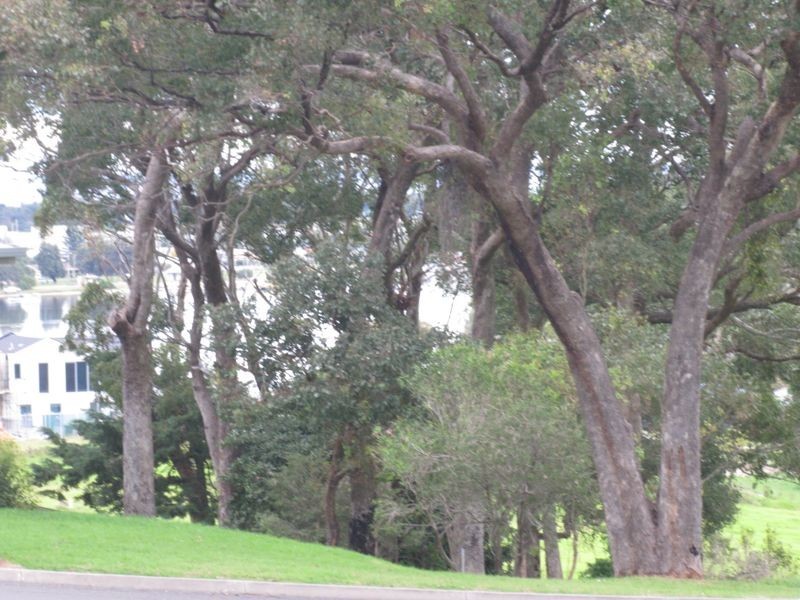 62 O’Neills Road, Lakes Entrance VIC 3909