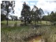 33 Veldens Road, Toorloo Arm VIC 3909