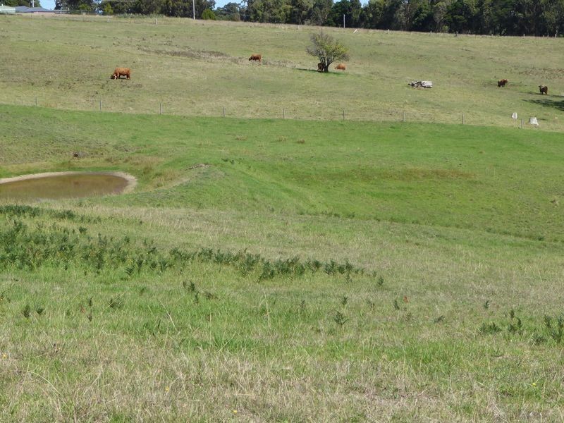 189 Hunters Lane, Kalimna VIC 3909