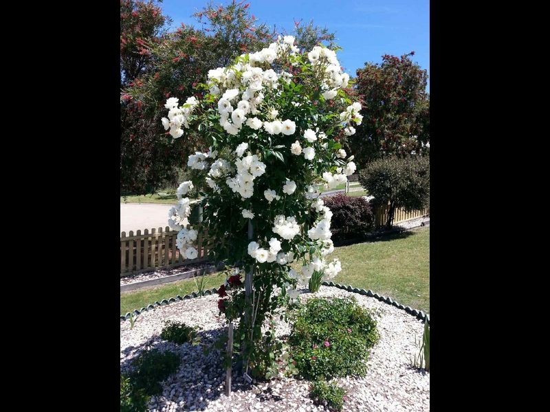 4 Doyle Court, Lakes Entrance VIC 3909