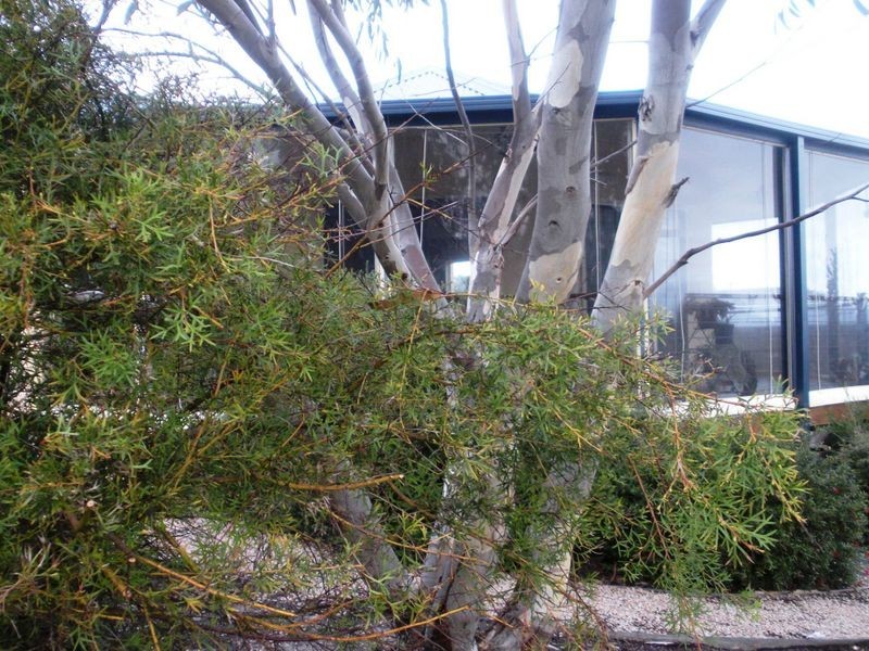 1 Banksia Court, Lakes Entrance VIC 3909