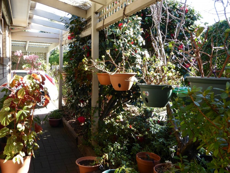 67 Capes Road, Lakes Entrance VIC 3909