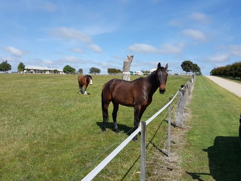 575B Great Alpine Road, Bairnsdale VIC 3875