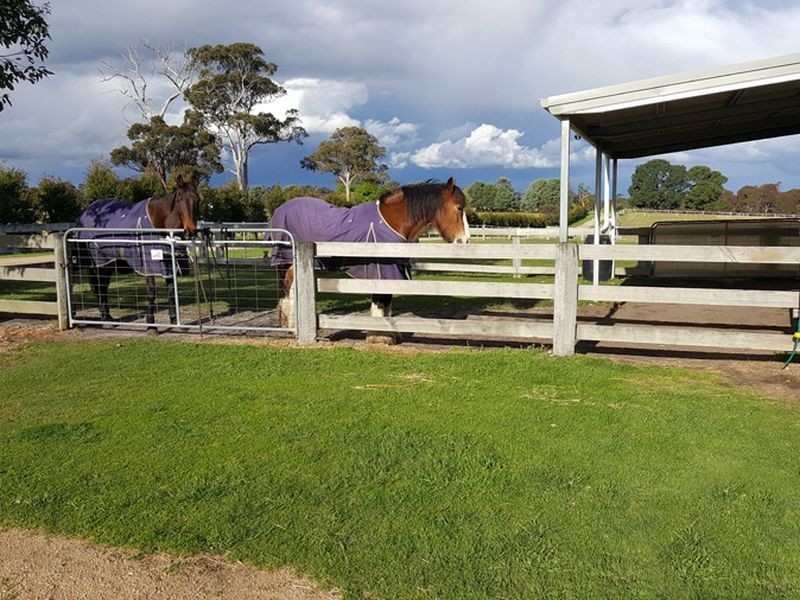 575B Great Alpine Road, Bairnsdale VIC 3875