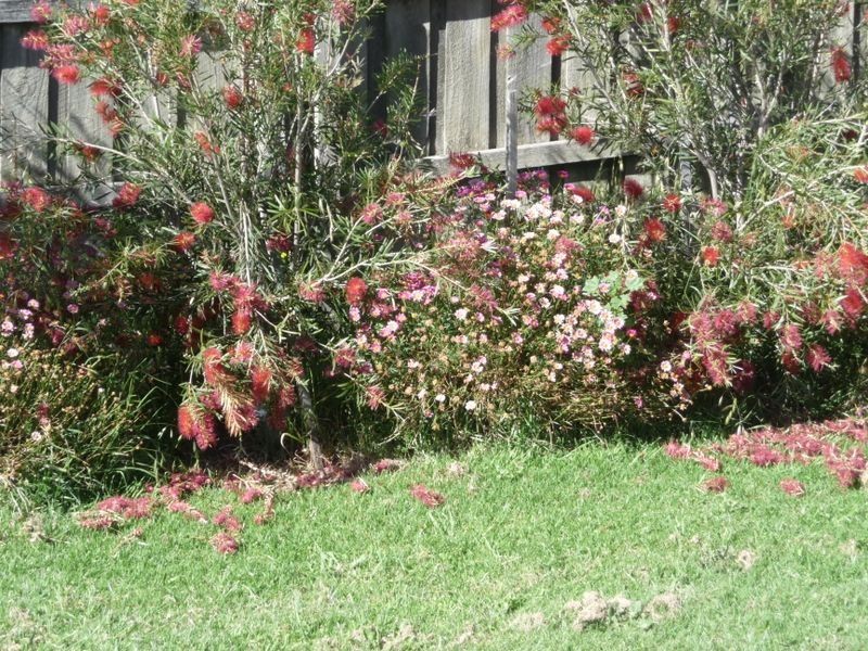 47 O’Neills Road, Lakes Entrance VIC 3909