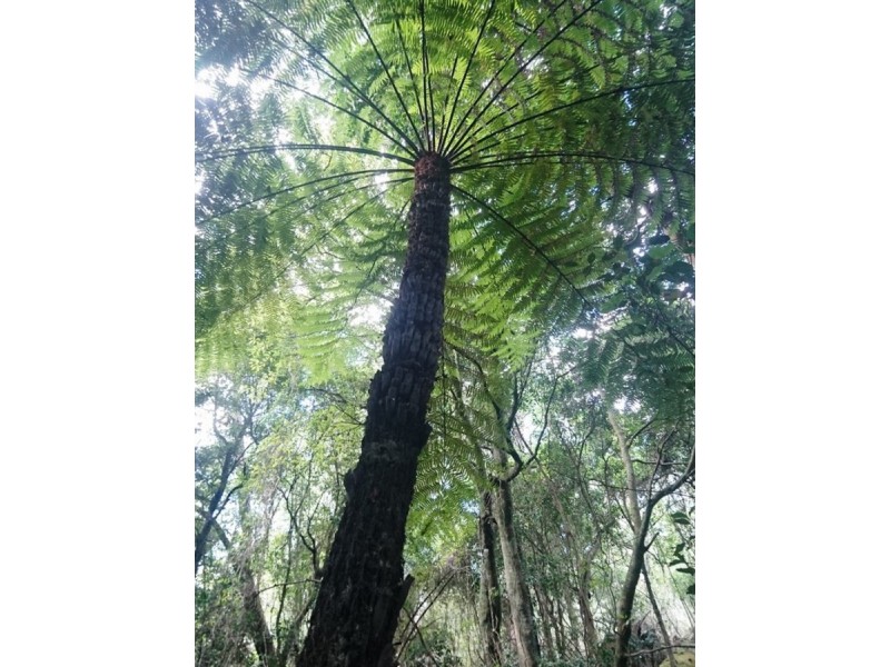 94 Baades Road, Lakes Entrance VIC 3909