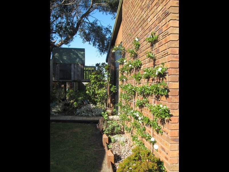 546-548 Lake Tyers Beach Road, Lake Tyers Beach VIC 3909