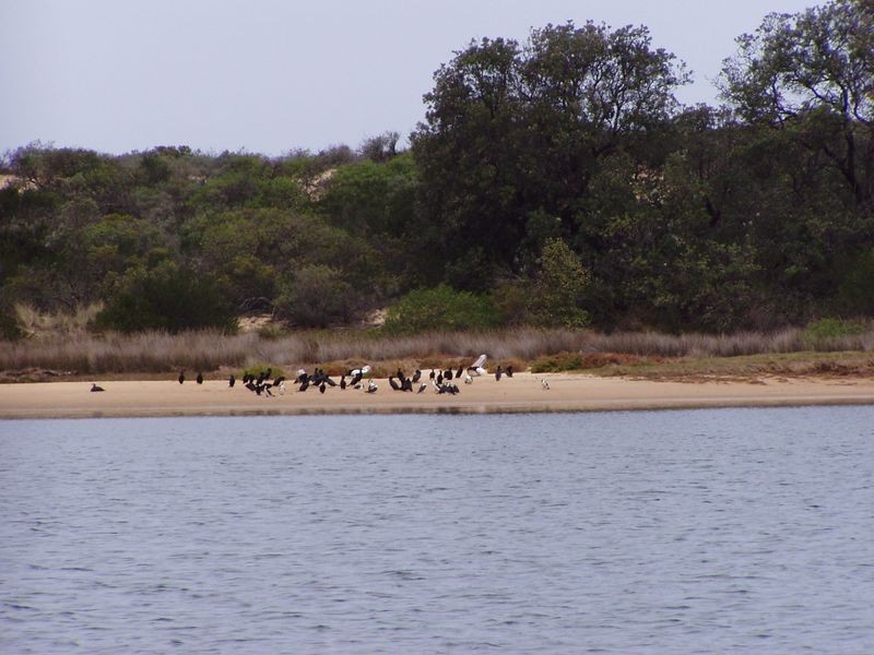 Lakes Entrance VIC 3909