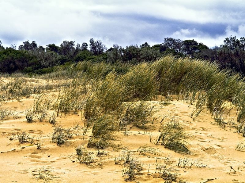 Lakes Entrance VIC 3909
