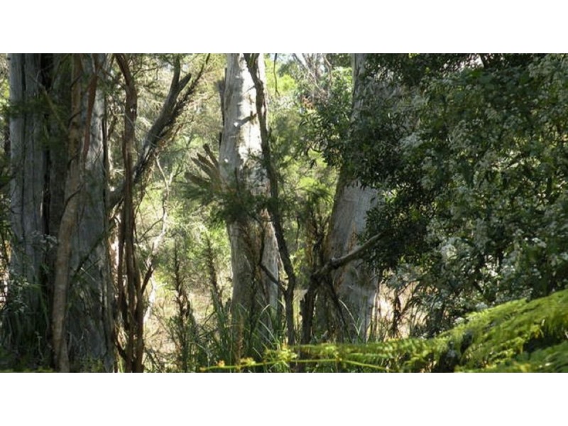 392 Lake Road, Newmerella VIC 3886