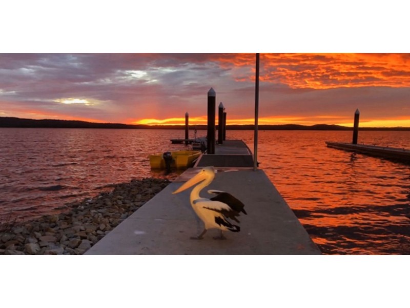 93 Syndenham Parade, Bemm River VIC 3889