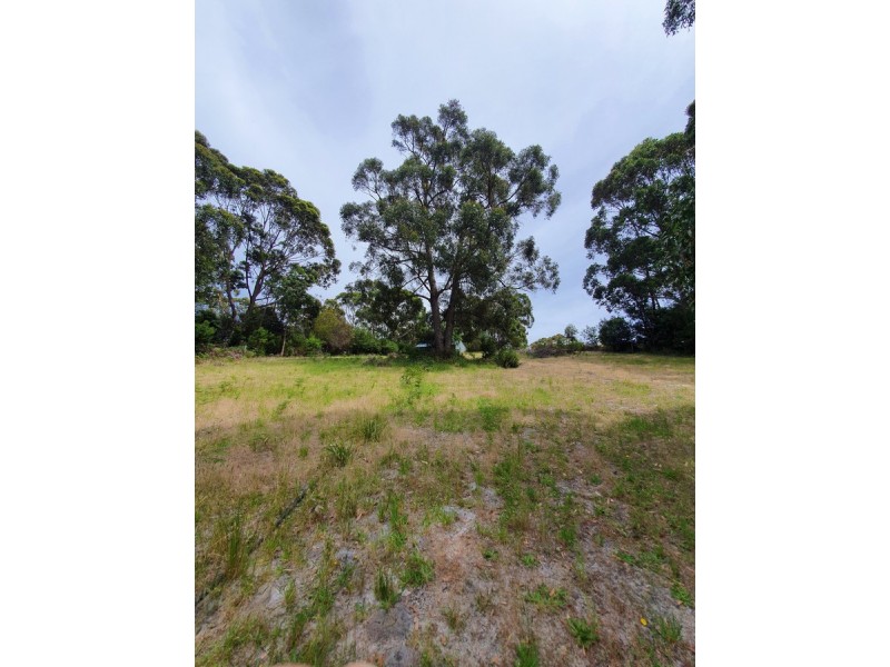 5 Morgans Road, Bemm River VIC 3889