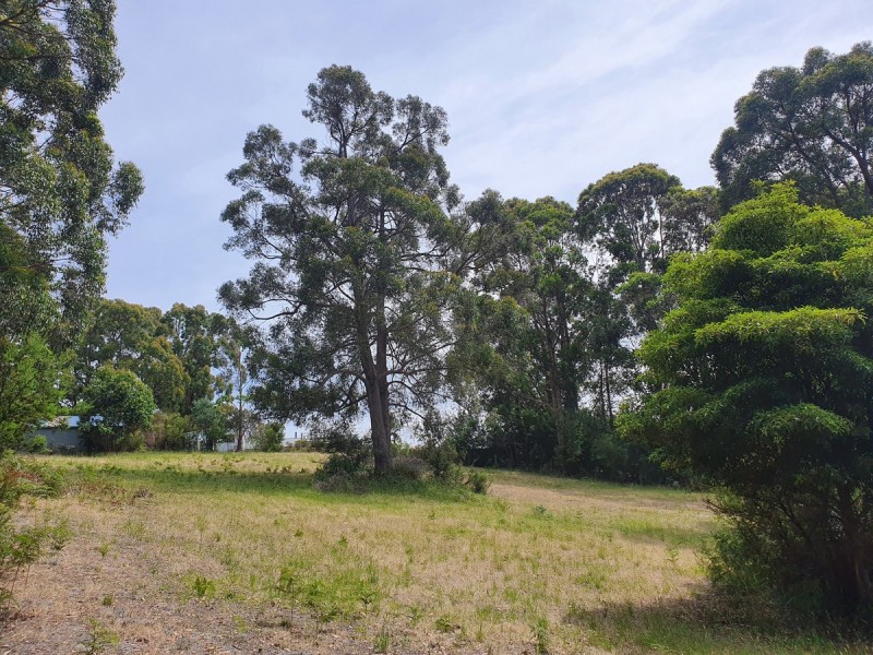 5 Morgans Road, Bemm River VIC 3889