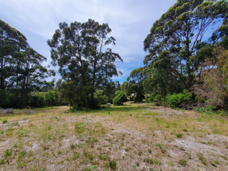 5 Morgans Road, Bemm River VIC 3889