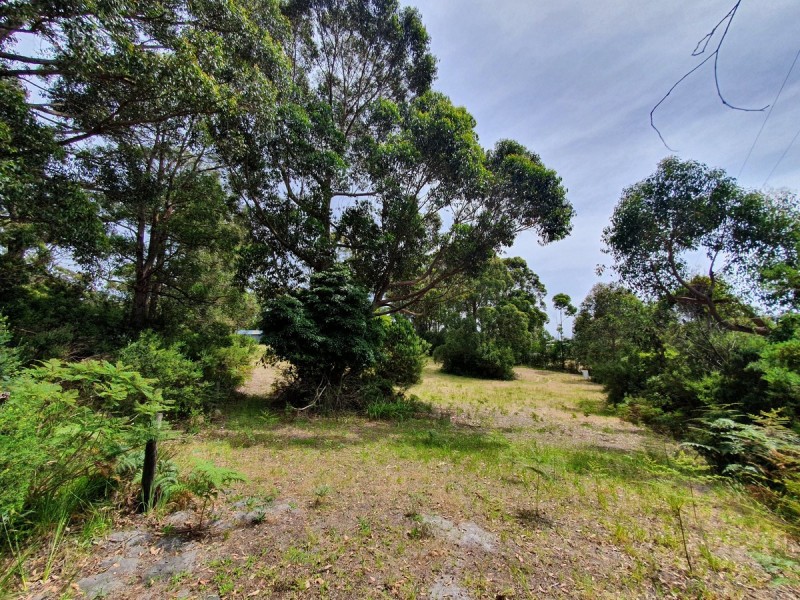 5 Morgans Road, Bemm River VIC 3889