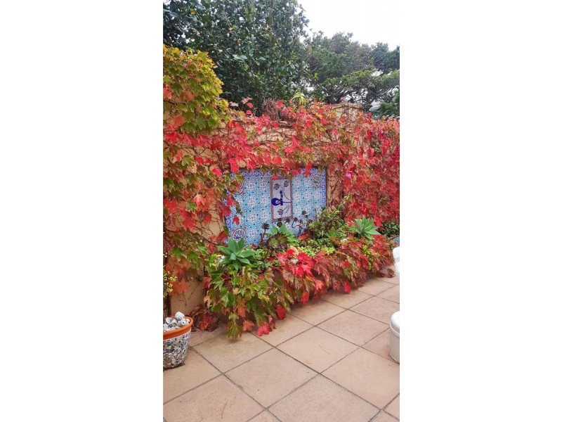 90 Gold Ring Road, Lake Bunga VIC 3909