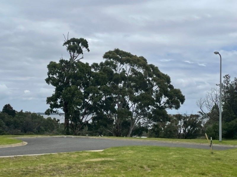 1 Patrick Grove, Metung VIC 3904