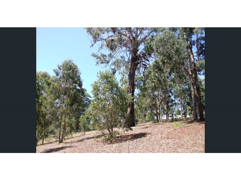 Lot 1/111 Cantrills Road, Metung VIC 3904