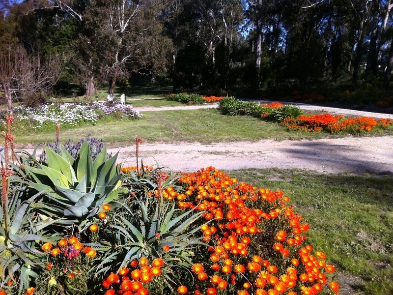 138 Colquhuon Road, Lakes Entrance VIC 3909