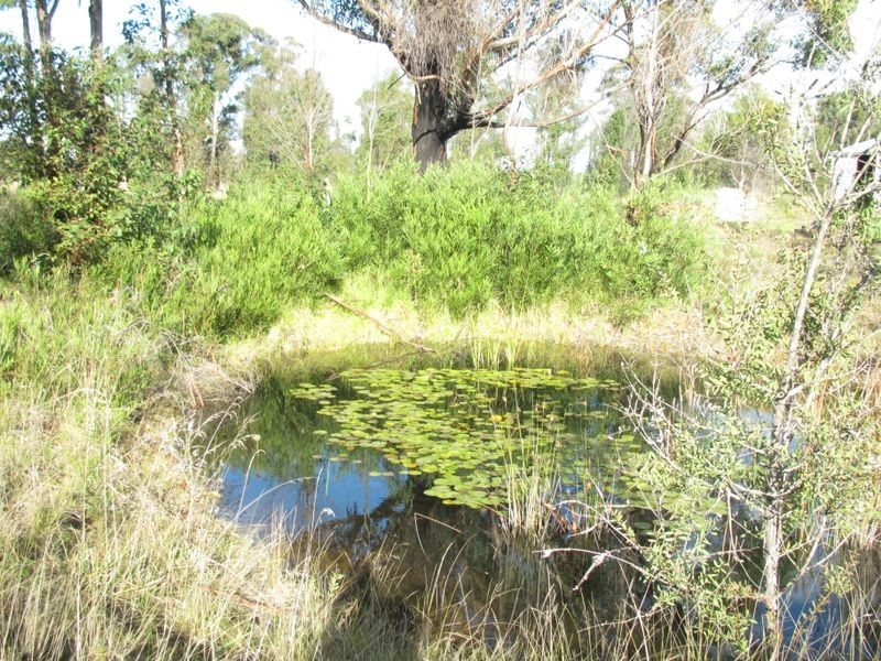 3969 Princes Highway, Orbost VIC 3888