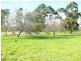 3969 Princes Highway, Orbost VIC 3888