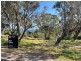 16 Grevillia Avenue, Metung VIC 3904