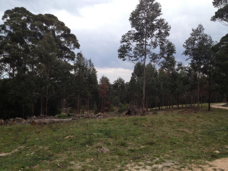 300 Tamboon Road, Cann River VIC 3890