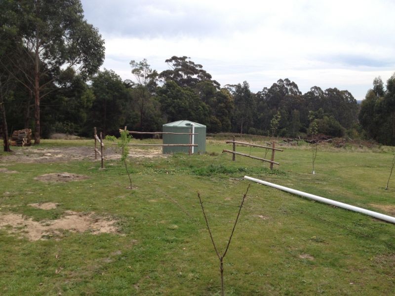 300 Tamboon Road, Cann River VIC 3890