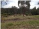 300 Tamboon Road, Cann River VIC 3890