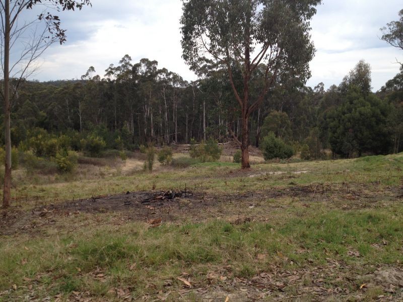 300 Tamboon Road, Cann River VIC 3890