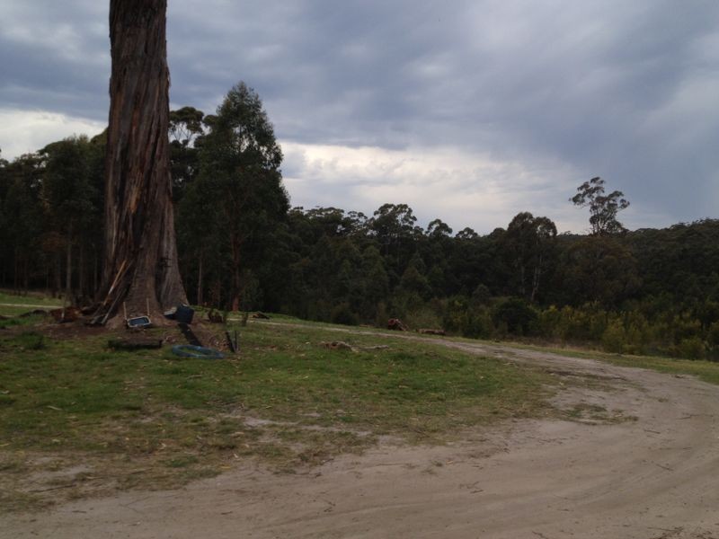 300 Tamboon Road, Cann River VIC 3890