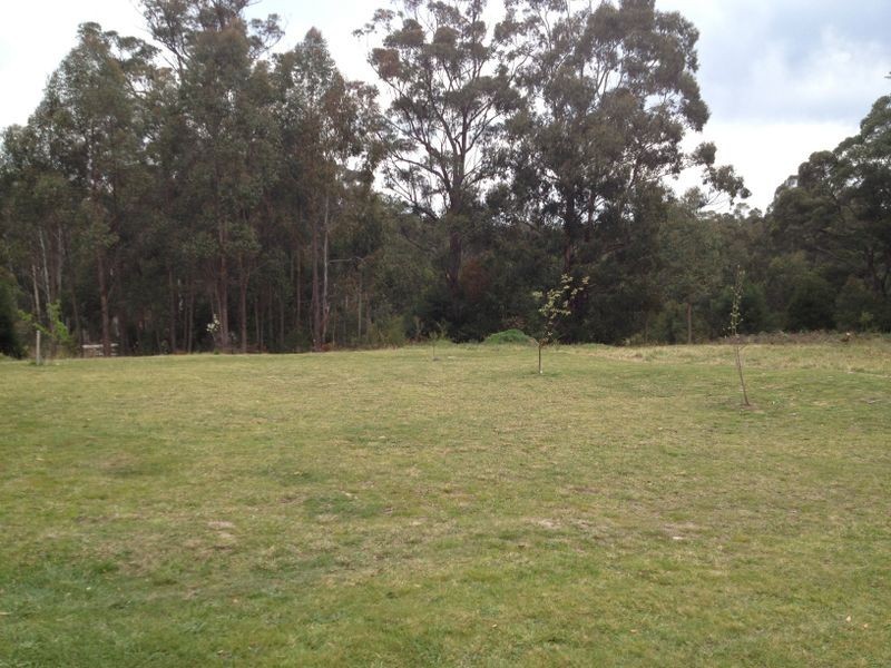 300 Tamboon Road, Cann River VIC 3890