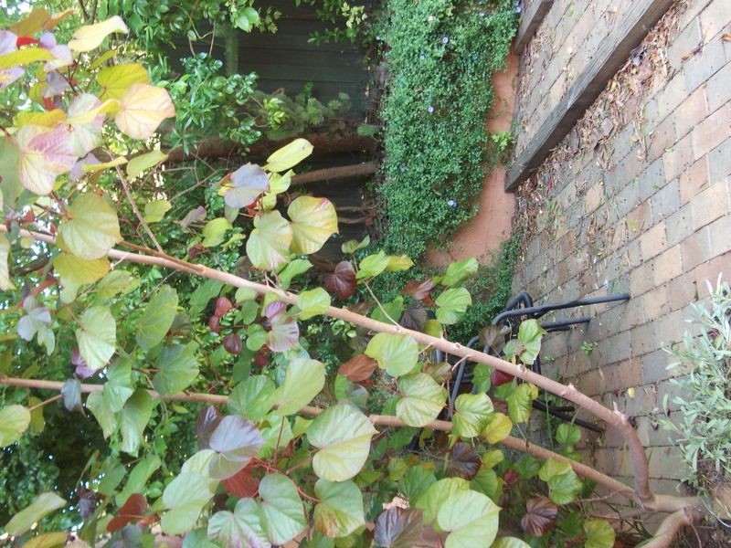 Lakes Entrance VIC 3909