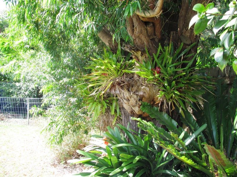 8 View Street, Lakes Entrance VIC 3909