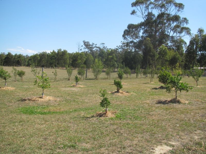 409 Simpsons Creek Road, Orbost VIC 3888