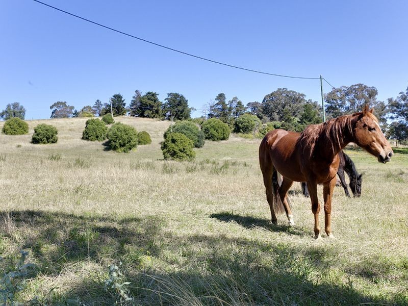 8/45 Spring Creek Road, Mount Hunter NSW 2570