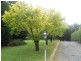 202 Werombi Road, Ellis Lane NSW 2570