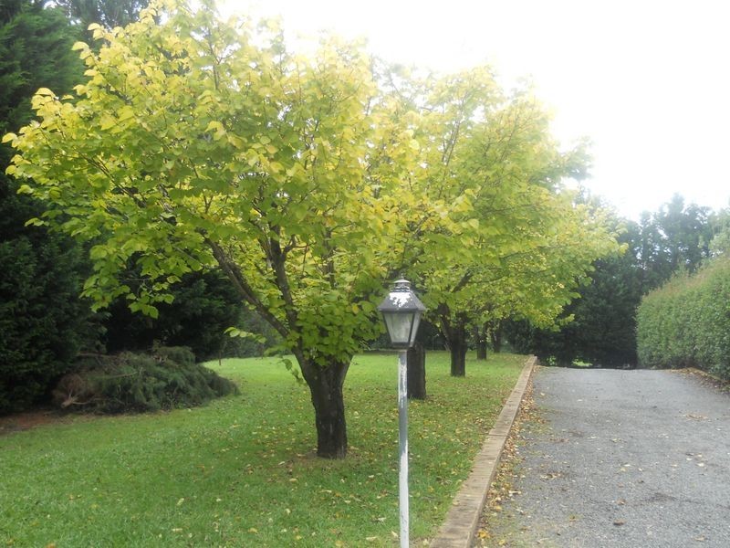 202 Werombi Road, Ellis Lane NSW 2570