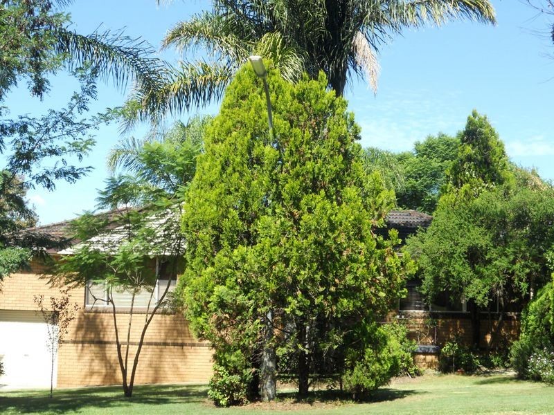 19 Arndell Street, Camden South NSW 2570