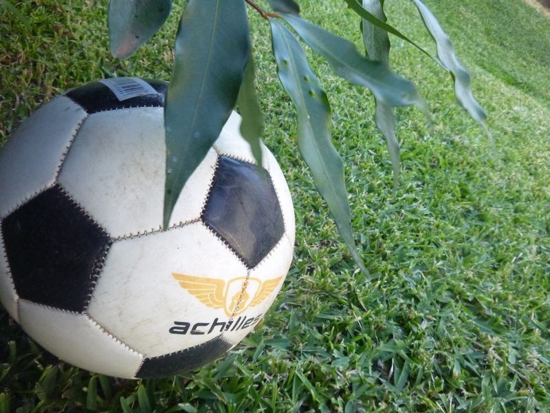 53 Bandara Circuit, Spring Farm NSW 2570