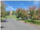 20 Station Street, Menangle NSW 2568