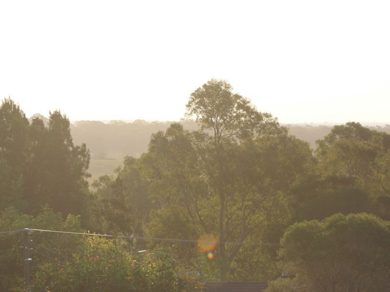 3 Maple Avenue, The Oaks NSW 2570