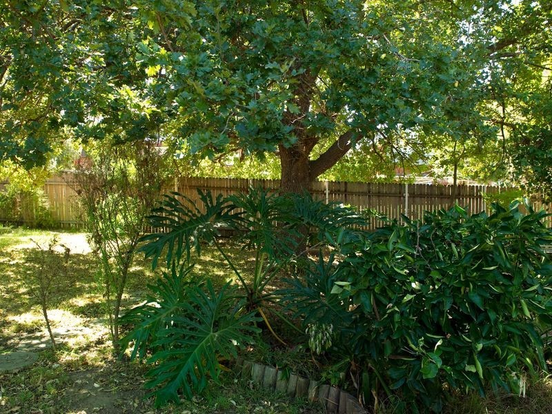 36 Pindari Avenue, Camden NSW 2570
