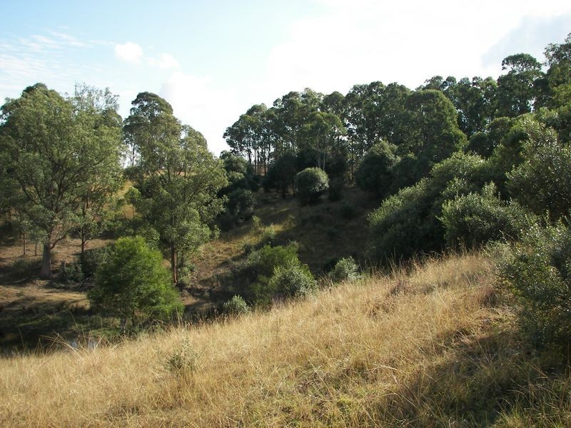LOT 9 Clintara Crescent, Razorback NSW 2571