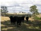 LOT 9 Clintara Crescent, Razorback NSW 2571